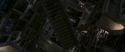 CS-Potterish_03258.jpg