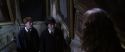 CS-Potterish_03271.jpg