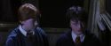 CS-Potterish_03280.jpg