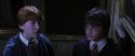 CS-Potterish_03286.jpg