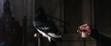 CS-Potterish_03318.jpg