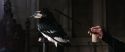 CS-Potterish_03319.jpg