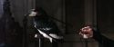 CS-Potterish_03320.jpg