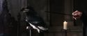 CS-Potterish_03322.jpg