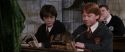 CS-Potterish_03337.jpg