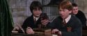 CS-Potterish_03351.jpg