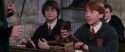 CS-Potterish_03354.jpg