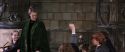 CS-Potterish_03356.jpg