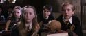 CS-Potterish_03366.jpg