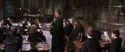 CS-Potterish_03430.jpg