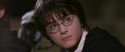 CS-Potterish_03437.jpg