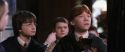 CS-Potterish_03457.jpg