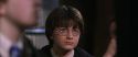 CS-Potterish_03503.jpg
