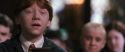 CS-Potterish_03511.jpg