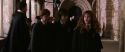 CS-Potterish_03520.jpg
