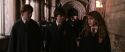 CS-Potterish_03523.jpg