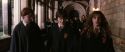 CS-Potterish_03524.jpg