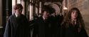 CS-Potterish_03525.jpg