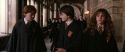 CS-Potterish_03526.jpg
