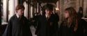 CS-Potterish_03527.jpg