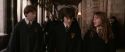 CS-Potterish_03528.jpg