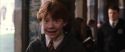 CS-Potterish_03534.jpg