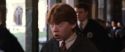 CS-Potterish_03535.jpg