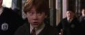 CS-Potterish_03537.jpg