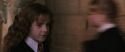 CS-Potterish_03539.jpg
