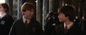 CS-Potterish_03542.jpg