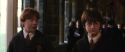 CS-Potterish_03543.jpg