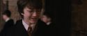 CS-Potterish_03549.jpg