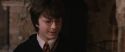 CS-Potterish_03550.jpg