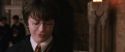 CS-Potterish_03552.jpg