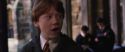 CS-Potterish_03554.jpg