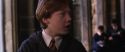 CS-Potterish_03555.jpg