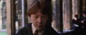 CS-Potterish_03556.jpg
