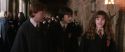 CS-Potterish_03559.jpg