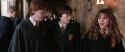CS-Potterish_03560.jpg