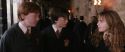 CS-Potterish_03561.jpg