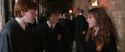 CS-Potterish_03562.jpg
