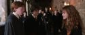 CS-Potterish_03565.jpg