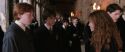 CS-Potterish_03568.jpg