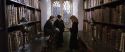 CS-Potterish_03590.jpg