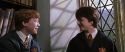 CS-Potterish_03599.jpg