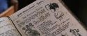 CS-Potterish_03605.jpg