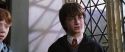 CS-Potterish_03610.jpg