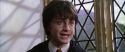 CS-Potterish_03617.jpg