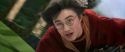 CS-Potterish_03746.jpg
