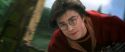 CS-Potterish_03747.jpg